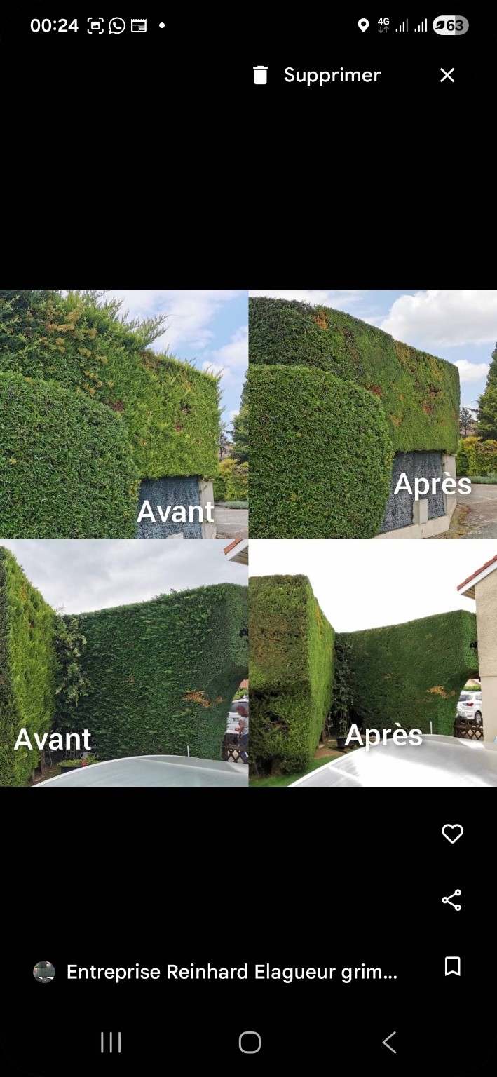 Deux comparaisons avant et après la taille de haies